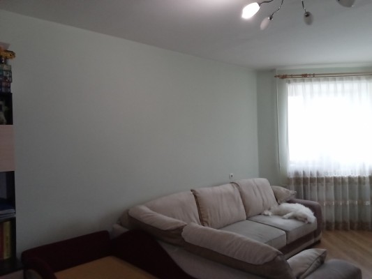 Купить 1-комнатную квартиру в г. Минске Жуковского ул. 4, фото 2
