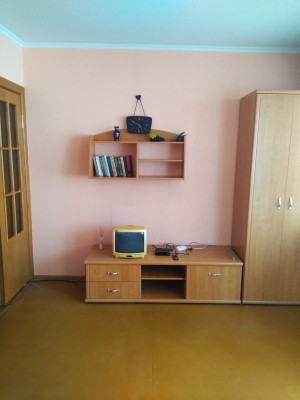 Аренда 1-комнатной квартиры в г. Гомеле Телегина ул. 17, фото 2