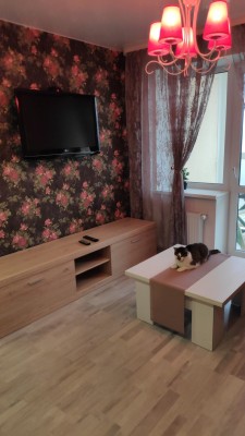 Аренда 1-комнатной квартиры в г. Минске Щорса ул. 4Б, фото 3
