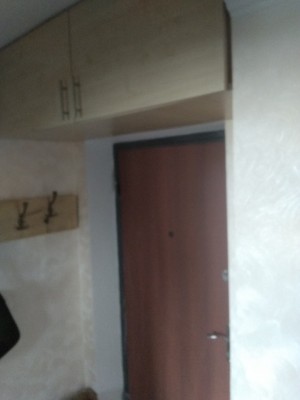 Аренда 1-комнатной квартиры в г. Борисове Брилевская ул. 64, фото 3