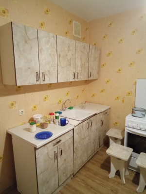 Аренда 1-комнатной квартиры в г. Минске Чичурина ул. 2, фото 5