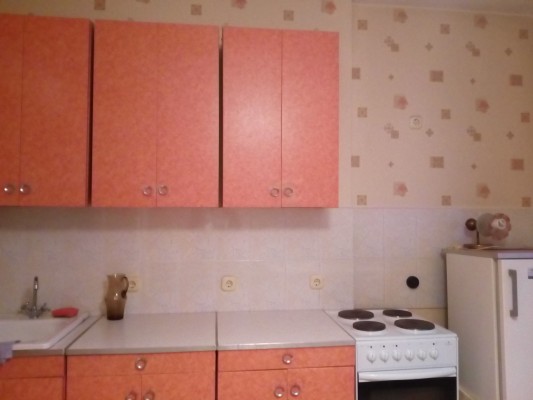 Аренда 1-комнатной квартиры в г. Минске Притыцкого ул. 45, фото 4