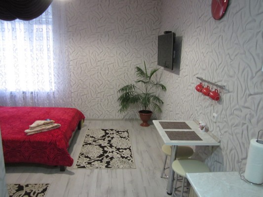 1-комнатная квартира в г. Пинске Космодемьянской Зои ул. 57, фото 3